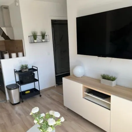 Appartement Cosy T2-gare De Grenoble